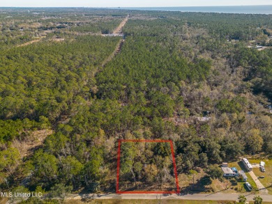 Beach Lot For Sale in Pass Christian, Mississippi