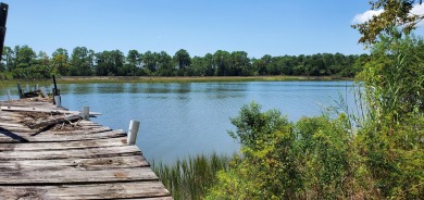 Beach Lot For Sale in Apalachicola, Florida