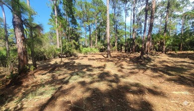 Beach Acreage For Sale in Vero Beach, Florida