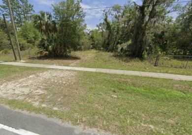 Beach Lot For Sale in Inglis, Florida