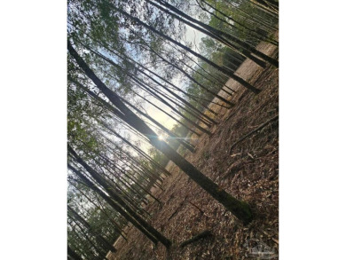 Beach Acreage For Sale in Milton, Florida