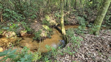 Beach Acreage For Sale in Pace, Florida