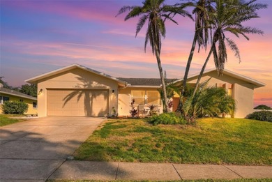 Beach Home For Sale in Tarpon Springs, Florida