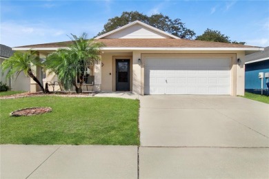 Beach Home For Sale in Wimauma, Florida