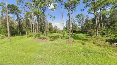 Beach Lot For Sale in Punta Gorda, Florida