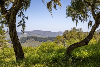 Beach Acreage For Sale in Carmel, California