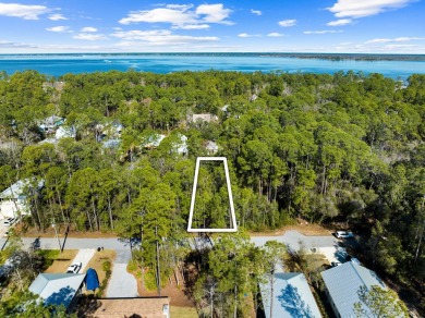 Beach Lot For Sale in Point Washington, Florida
