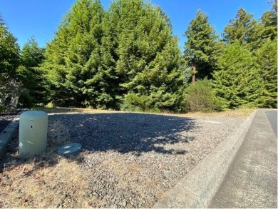 Beach Lot For Sale in Fortuna, California