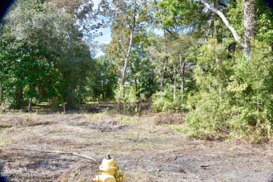 Beach Lot For Sale in Pass Christian, Mississippi