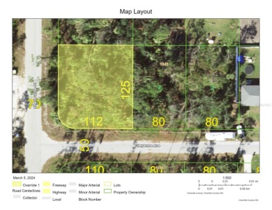 Beach Lot For Sale in Port Charlotte, Florida