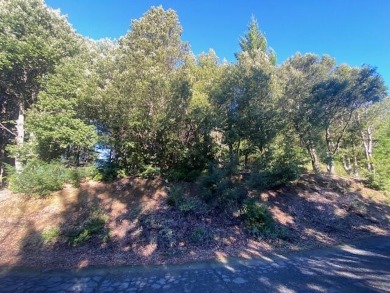 Beach Lot For Sale in Shelter Cove, California