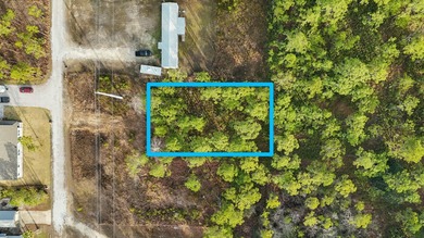 Beach Lot Sale Pending in Santa Rosa Beach, Florida