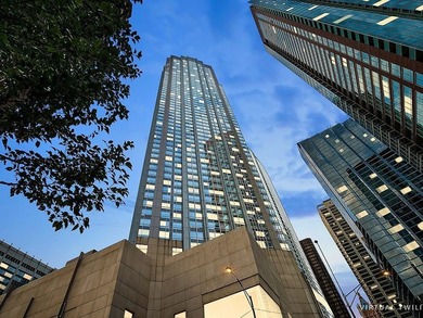 Beach Condo For Sale in Chicago, Illinois