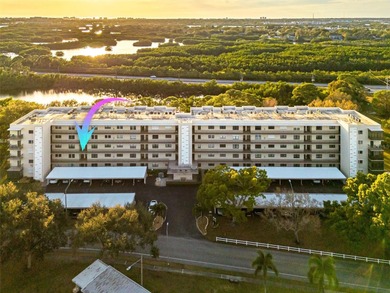 Beach Condo For Sale in St. Petersburg, Florida