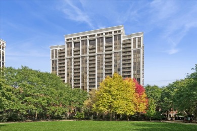 Beach Condo For Sale in Chicago, Illinois