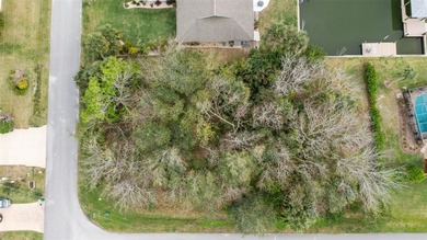 Beach Lot For Sale in Palm Coast, Florida