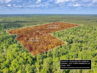 Beach Acreage For Sale in Crawfordville, Florida