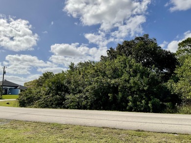Beach Lot For Sale in Port Saint Lucie, Florida