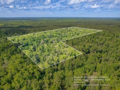 Beach Acreage For Sale in Crawfordville, Florida