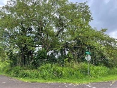 Beach Lot For Sale in Pahoa, Hawaii