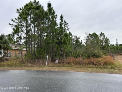 Beach Lot For Sale in Palm Bay, Florida