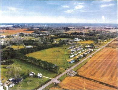 Beach Commercial For Sale in Foley, Alabama