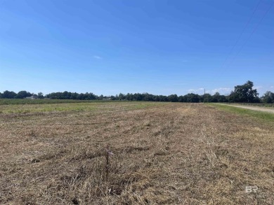 Beach Acreage For Sale in Silverhill, Alabama