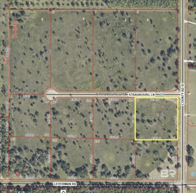 Beach Acreage For Sale in Elberta, Alabama