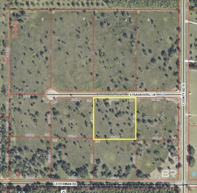 Beach Acreage For Sale in Elberta, Alabama