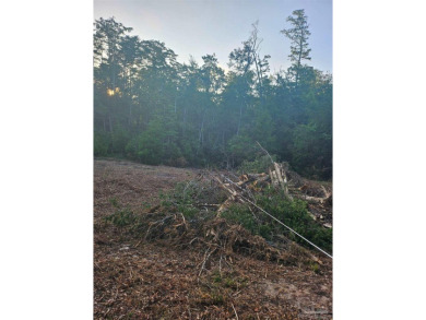 Beach Lot For Sale in Pace, Florida