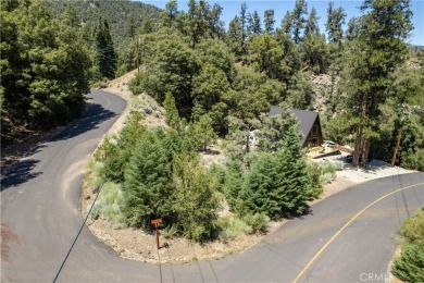 Beach Lot For Sale in Pine Mountain Club, California