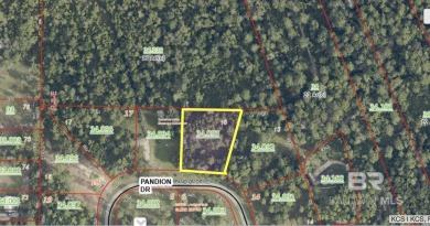 Beach Lot For Sale in Foley, Alabama