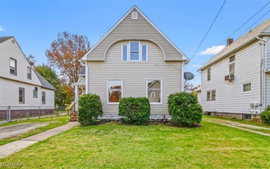 Beach Home For Sale in Ashtabula, Ohio