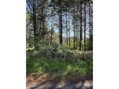 Beach Lot For Sale in Whitethorn, California