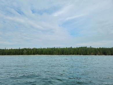 Beach Acreage For Sale in Garden, Michigan