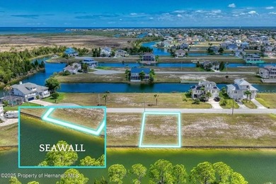 Beach Lot For Sale in Hernando Beach, Florida