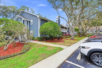 Beach Condo For Sale in Palm Harbor, Florida