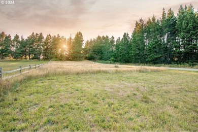 Beach Lot For Sale in Long Beach, Washington