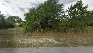 Beach Lot For Sale in Lehigh Acres, Florida