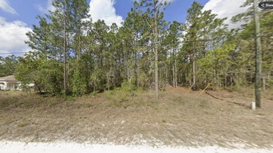 Beach Lot For Sale in Weeki Wachee, Florida