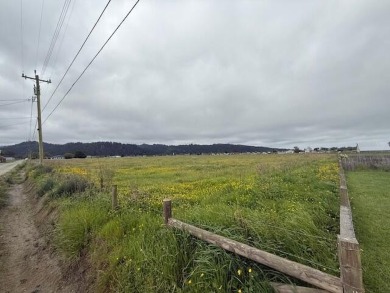 Beach Acreage For Sale in Ferndale, California
