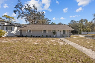 Beach Home For Sale in Tarpon Springs, Florida