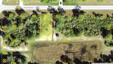 Beach Lot For Sale in Rotonda West, Florida