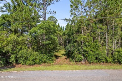 Beach Lot For Sale in Santa Rosa Beach, Florida