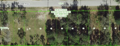 Beach Lot Sale Pending in New Port Richey, Florida