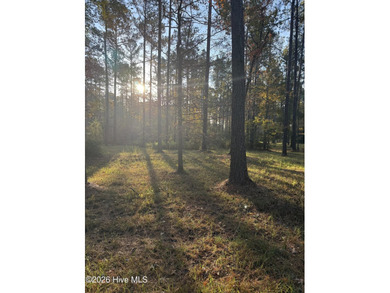 Beach Acreage For Sale in Oriental, North Carolina