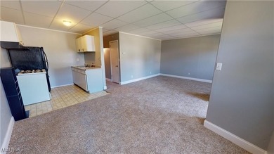 Beach Home For Sale in Fairport Harbor, Ohio