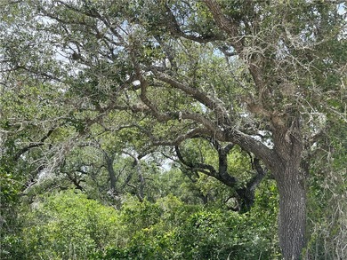 Beach Lot Sale Pending in Rockport, Texas