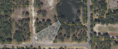 Beach Lot For Sale in Shallotte, North Carolina