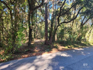 Beach Lot For Sale in Dauphin Island, Alabama